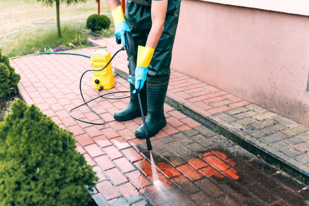 Best Vinyl Siding Pressure Washing in Ohatchee, AL